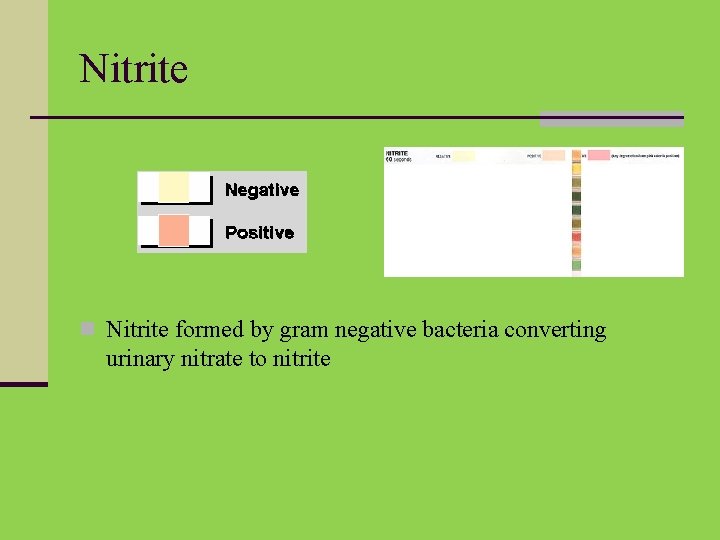 Nitrite n Nitrite formed by gram negative bacteria converting urinary nitrate to nitrite 