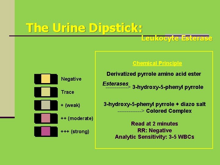 The Urine Dipstick: Leukocyte Esterase Chemical Principle Negative Trace + (weak) ++ (moderate) +++