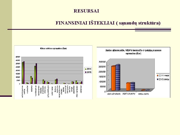 RESURSAI FINANSINIAI IŠTEKLIAI ( sąnaudų struktūra) 