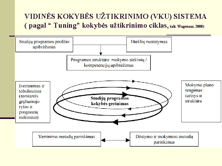 VIDINĖS KOKYBĖS UŽTIKRINIMO (VKU) SISTEMA ( pagal “ Tuning” kokybės užtikrinimo ciklas, šalt. Wagenaar,