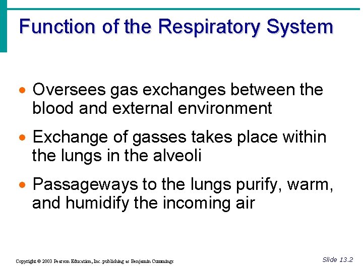 Function of the Respiratory System · Oversees gas exchanges between the blood and external