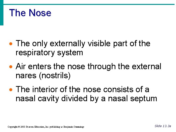 The Nose · The only externally visible part of the respiratory system · Air