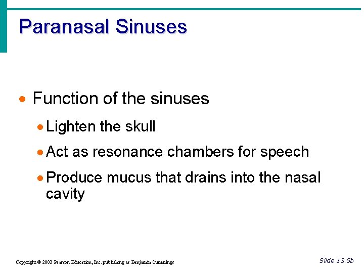 Paranasal Sinuses · Function of the sinuses · Lighten the skull · Act as
