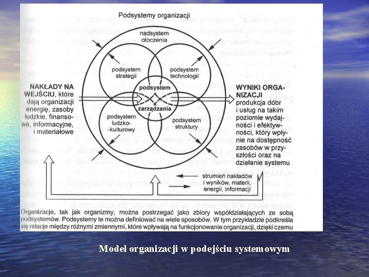 Model organizacji w podejściu systemowym 