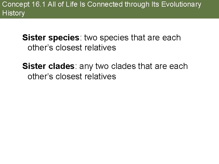 Concept 16. 1 All of Life Is Connected through Its Evolutionary History Sister species: