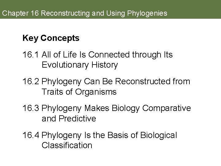 Chapter 16 Reconstructing and Using Phylogenies Key Concepts 16. 1 All of Life Is