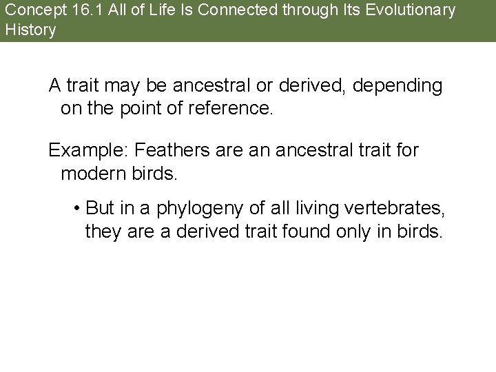 Concept 16. 1 All of Life Is Connected through Its Evolutionary History A trait