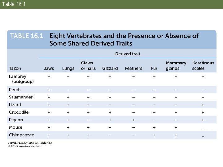 Table 16. 1 