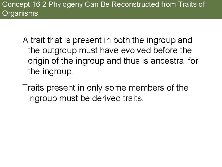 Concept 16. 2 Phylogeny Can Be Reconstructed from Traits of Organisms A trait that