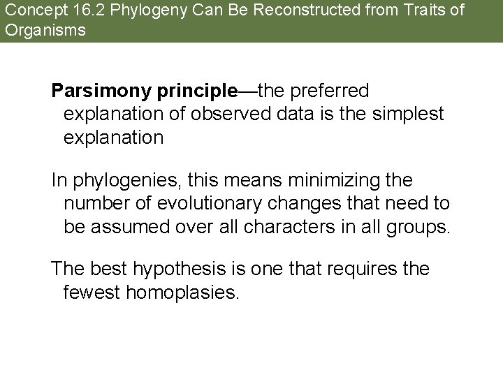 Concept 16. 2 Phylogeny Can Be Reconstructed from Traits of Organisms Parsimony principle—the preferred