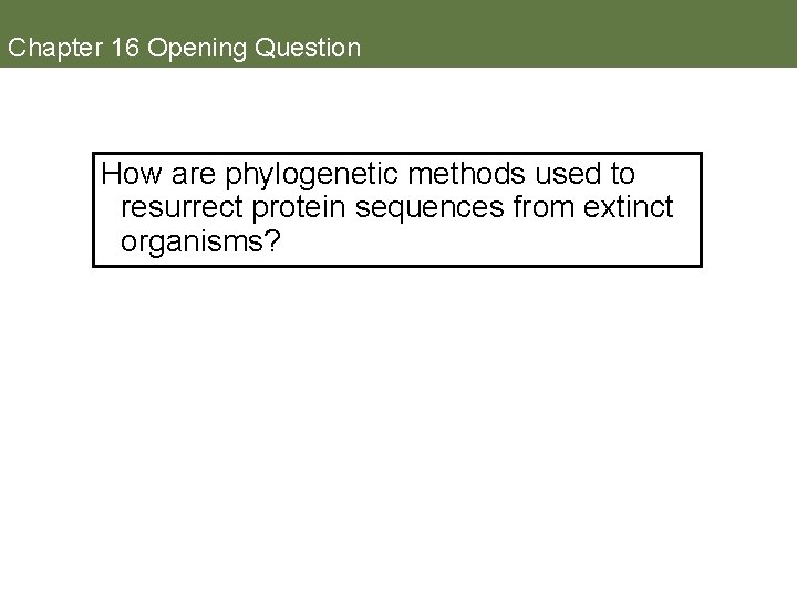 Chapter 16 Opening Question How are phylogenetic methods used to resurrect protein sequences from