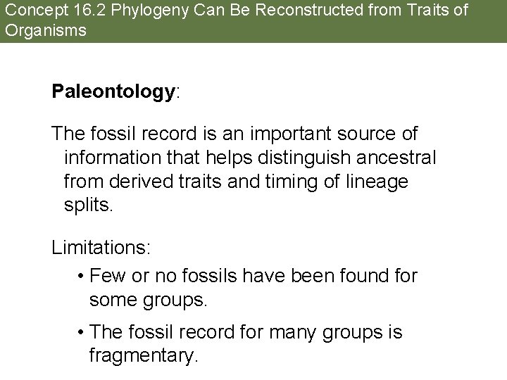Concept 16. 2 Phylogeny Can Be Reconstructed from Traits of Organisms Paleontology: The fossil
