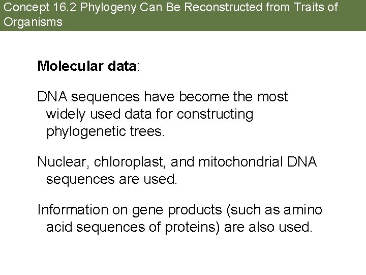 Concept 16. 2 Phylogeny Can Be Reconstructed from Traits of Organisms Molecular data: DNA