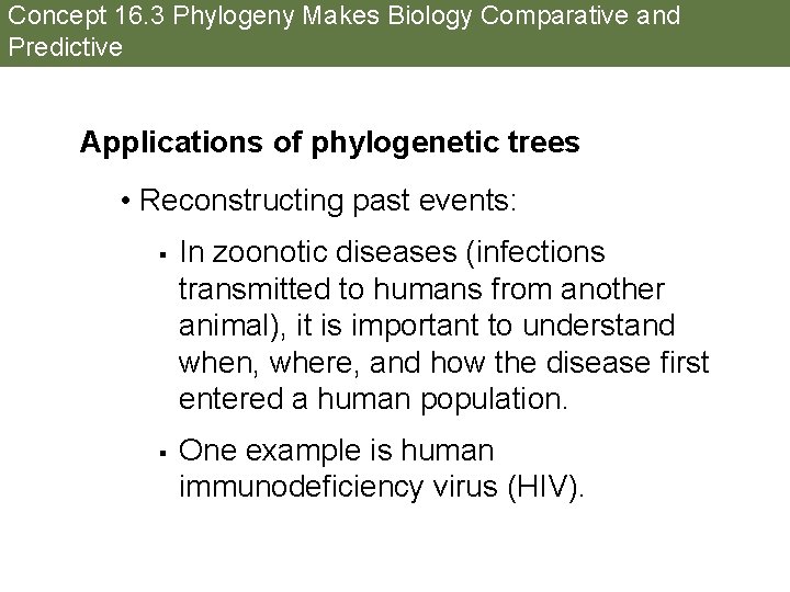 Concept 16. 3 Phylogeny Makes Biology Comparative and Predictive Applications of phylogenetic trees •