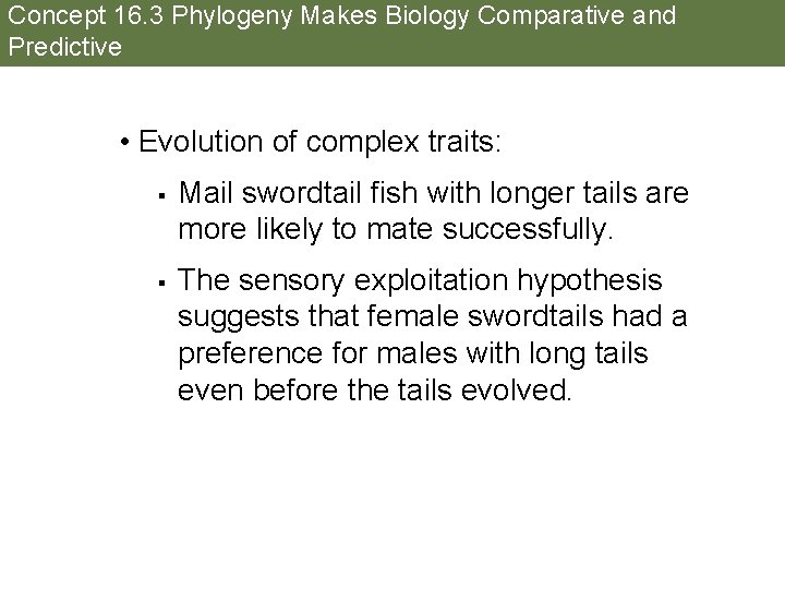 Concept 16. 3 Phylogeny Makes Biology Comparative and Predictive • Evolution of complex traits: