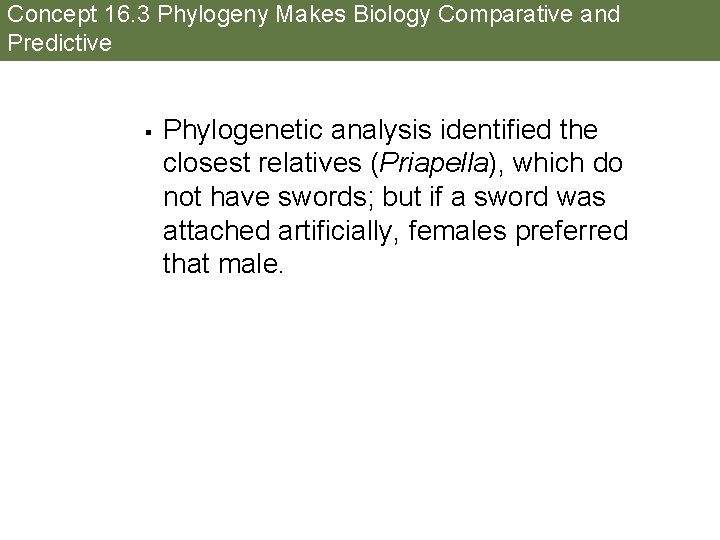 Concept 16. 3 Phylogeny Makes Biology Comparative and Predictive § Phylogenetic analysis identified the