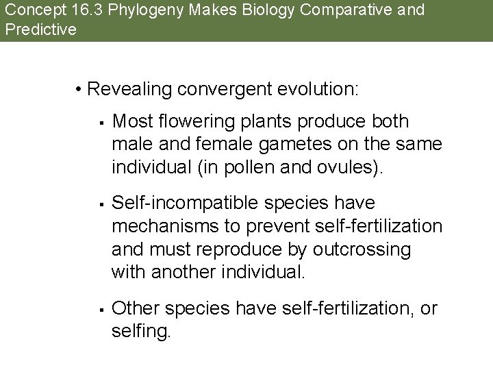 Concept 16. 3 Phylogeny Makes Biology Comparative and Predictive • Revealing convergent evolution: §