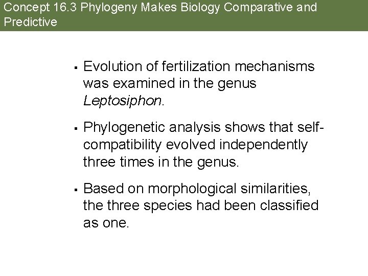 Concept 16. 3 Phylogeny Makes Biology Comparative and Predictive § § § Evolution of