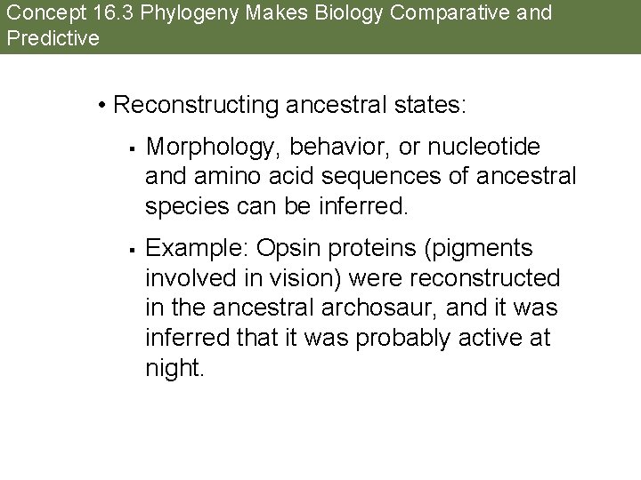 Concept 16. 3 Phylogeny Makes Biology Comparative and Predictive • Reconstructing ancestral states: §