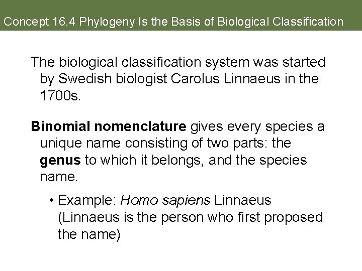 Concept 16. 4 Phylogeny Is the Basis of Biological Classification The biological classification system