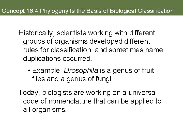 Concept 16. 4 Phylogeny Is the Basis of Biological Classification Historically, scientists working with