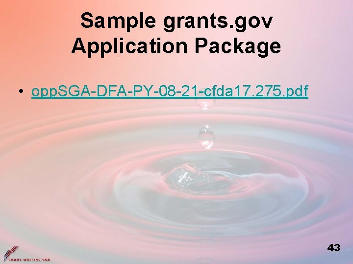 Sample grants. gov Application Package • opp. SGA-DFA-PY-08 -21 -cfda 17. 275. pdf 43