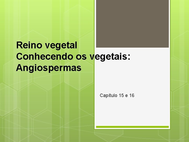 Reino vegetal Conhecendo os vegetais: Angiospermas Capítulo 15 e 16 