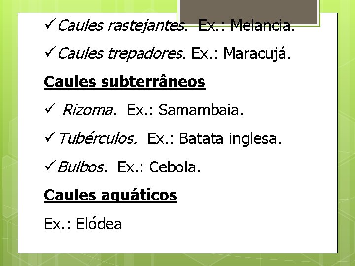 üCaules rastejantes. Ex. : Melancia. üCaules trepadores. Ex. : Maracujá. Caules subterrâneos ü Rizoma.