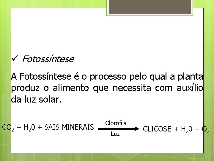 ü Fotossíntese A Fotossíntese é o processo pelo qual a planta produz o alimento