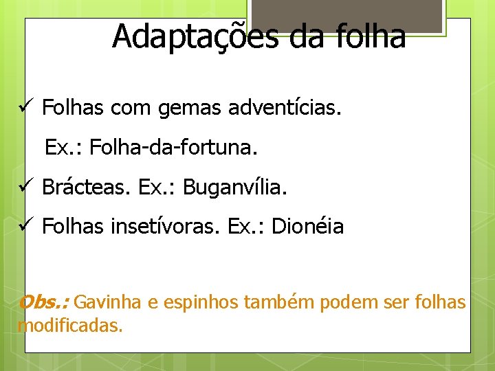 Adaptações da folha ü Folhas com gemas adventícias. Ex. : Folha-da-fortuna. ü Brácteas. Ex.