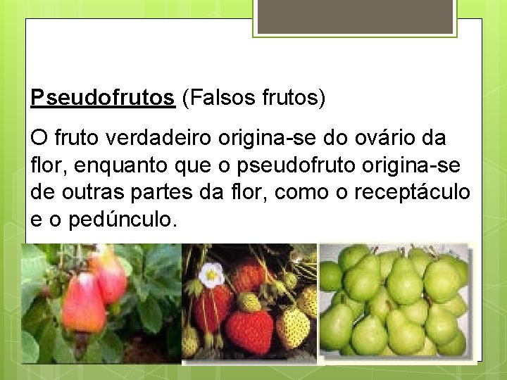 Pseudofrutos (Falsos frutos) O fruto verdadeiro origina-se do ovário da flor, enquanto que o