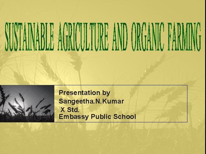 Presentation by Sangeetha. N. Kumar X Std. Embassy Public School 