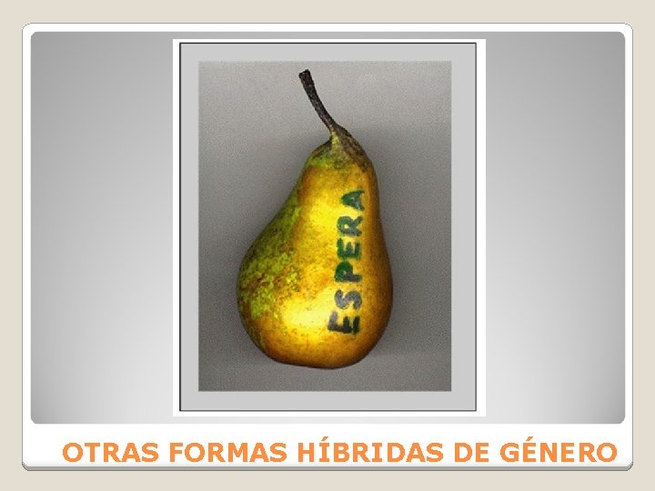 OTRAS FORMAS HÍBRIDAS DE GÉNERO 
