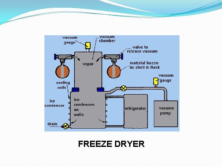 FREEZE DRYER 