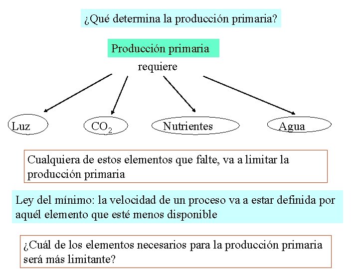 ¿Qué determina la producción primaria? Producción primaria requiere Luz CO 2 Nutrientes Agua Cualquiera