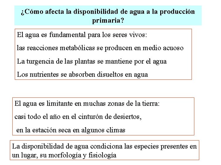 ¿Cómo afecta la disponibilidad de agua a la producción primaria? El agua es fundamental