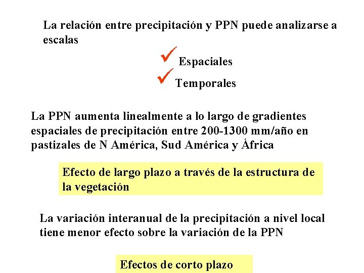 La relación entre precipitación y PPN puede analizarse a escalas üEspaciales üTemporales La PPN