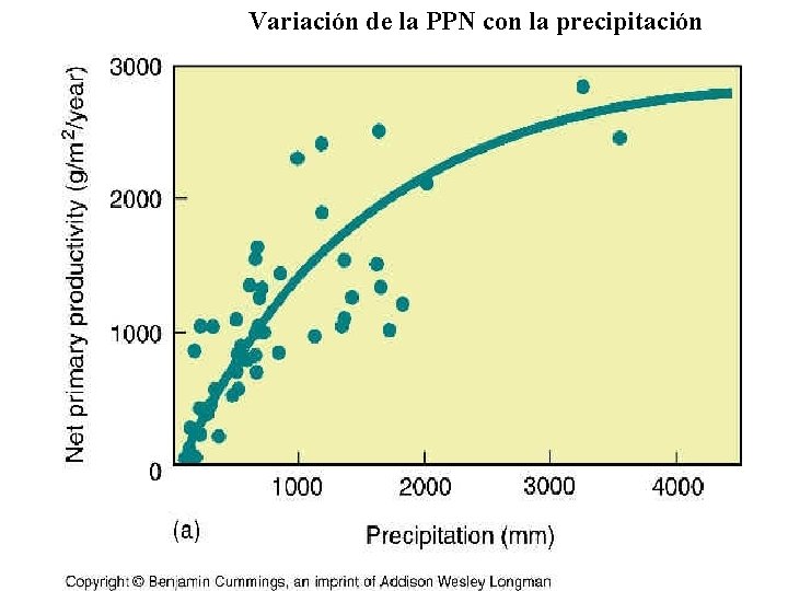 Variación de la PPN con la precipitación 