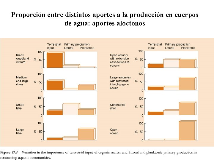 Proporción entre distintos aportes a la producción en cuerpos de agua: aportes alóctonos 