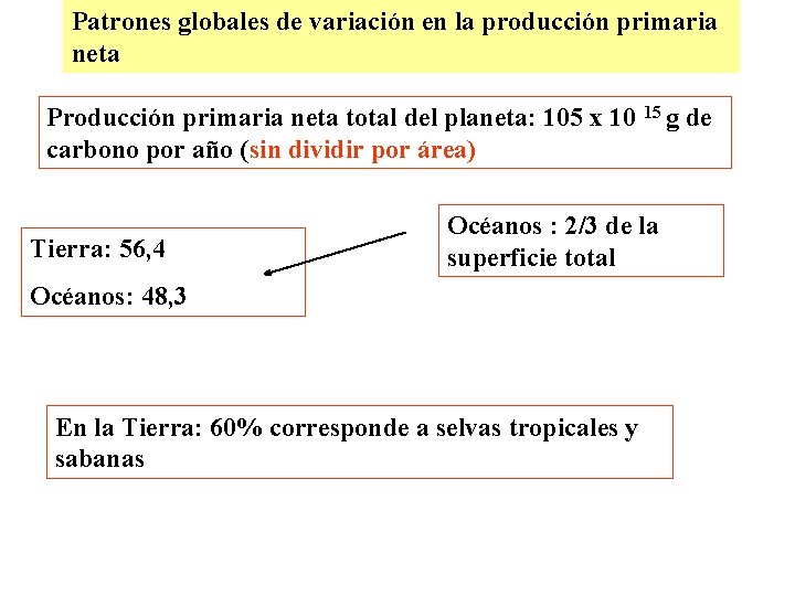 Patrones globales de variación en la producción primaria neta Producción primaria neta total del