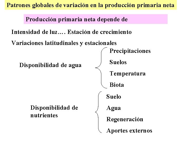 Patrones globales de variación en la producción primaria neta Producción primaria neta depende de
