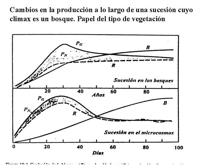 Cambios en la producción a lo largo de una sucesión cuyo climax es un