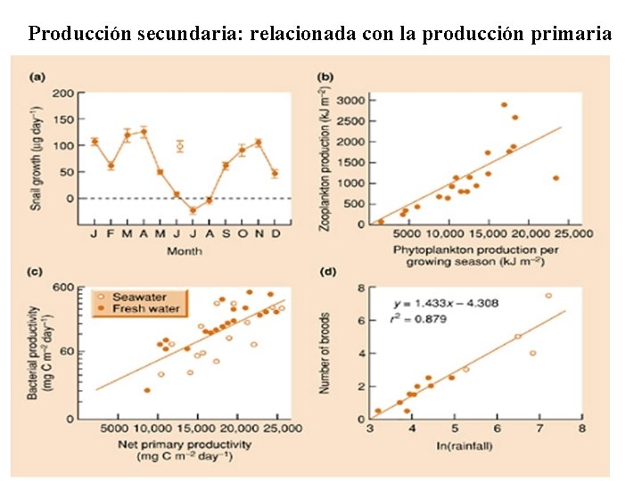 Producción secundaria: relacionada con la producción primaria 