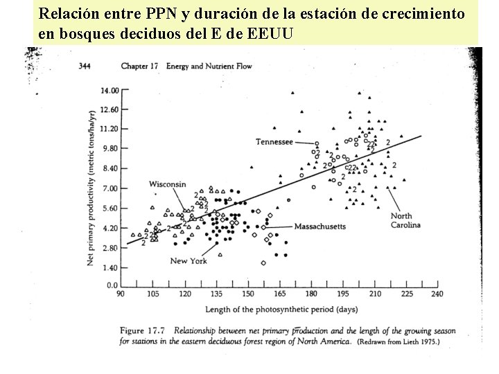 Relación entre PPN y duración de la estación de crecimiento en bosques deciduos del