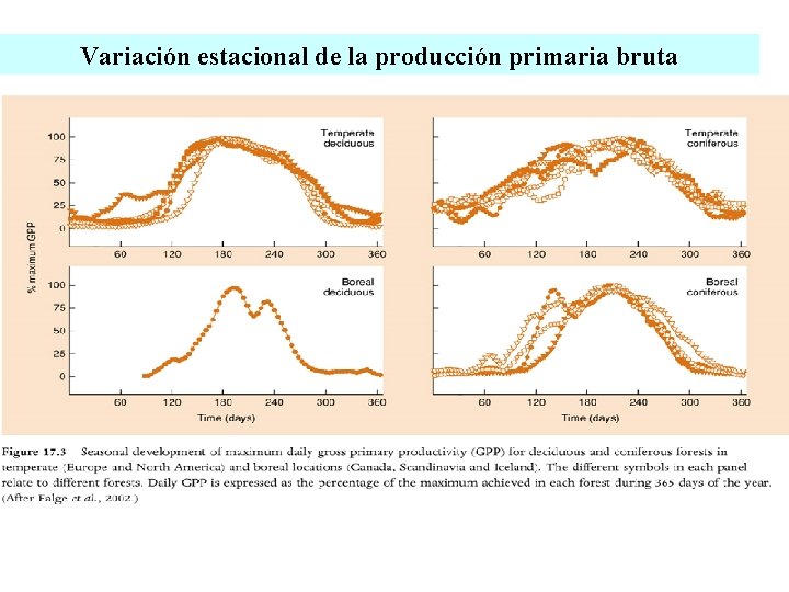 Variación estacional de la producción primaria bruta 