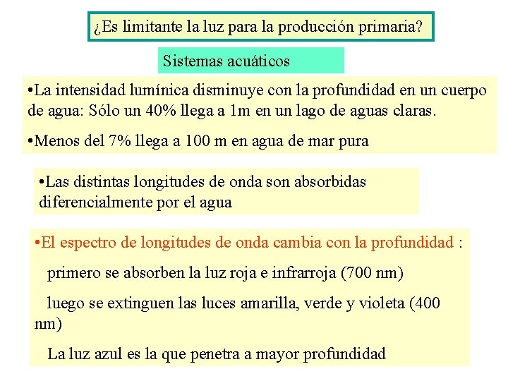 ¿Es limitante la luz para la producción primaria? Sistemas acuáticos • La intensidad lumínica