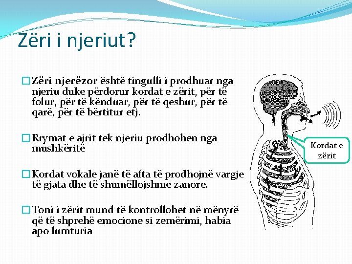 Zëri i njeriut? �Zëri njerëzor është tingulli i prodhuar nga njeriu duke përdorur kordat