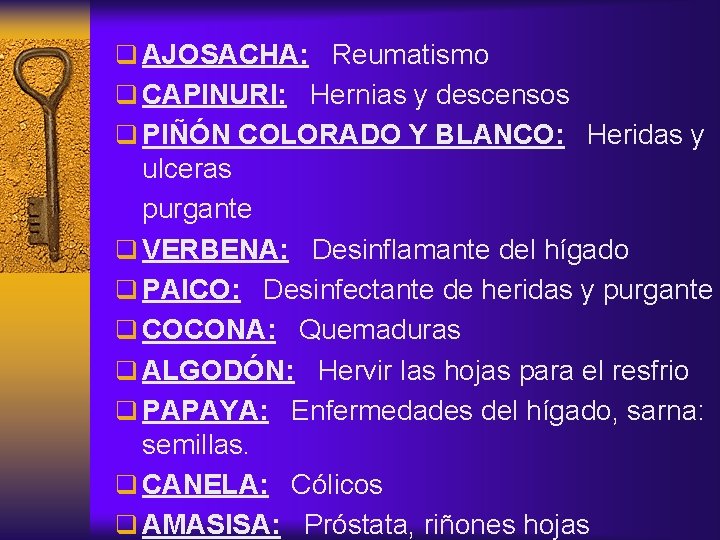 q AJOSACHA: Reumatismo q CAPINURI: Hernias y descensos q PIÑÓN COLORADO Y BLANCO: Heridas