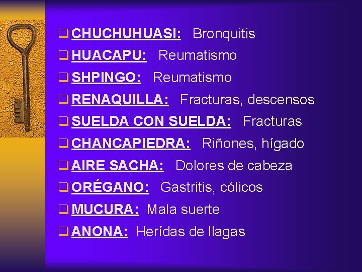 q CHUCHUHUASI: Bronquitis q HUACAPU: Reumatismo q SHPINGO: Reumatismo q RENAQUILLA: Fracturas, descensos q
