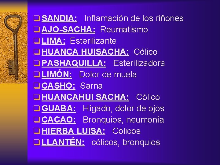 q SANDIA: Inflamación de los riñones q AJO-SACHA: Reumatismo q LIMA: Esterilizante q HUANCA